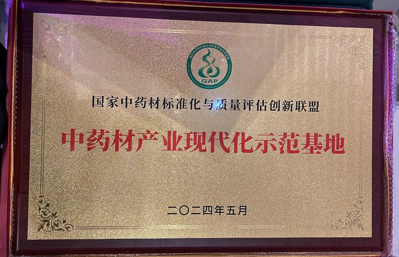 中藥產業現代化示范基地（2024）